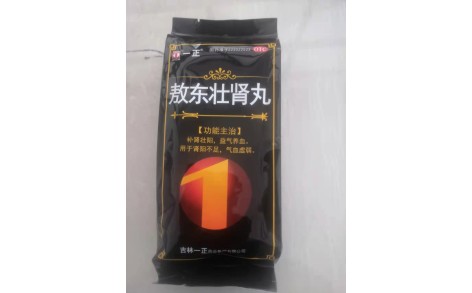 敖东壮肾丸(一正)主图 敖东壮肾丸(一正)主图