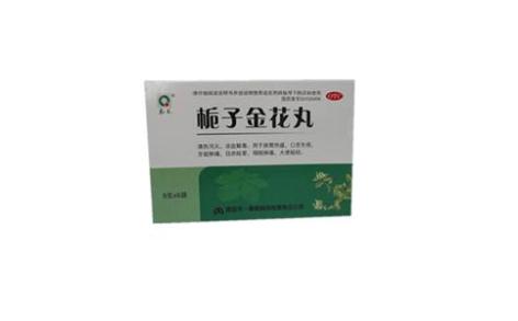 栀子金花丸(天一秦)主图