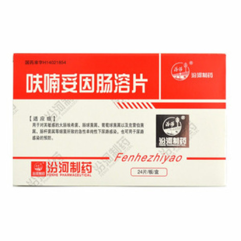 呋喃妥因肠溶片(汾河)包装主图 呋喃妥因肠溶片(汾河)包装主图