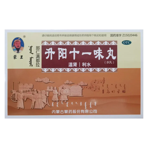 升阳十一味丸(蒙王)包装主图