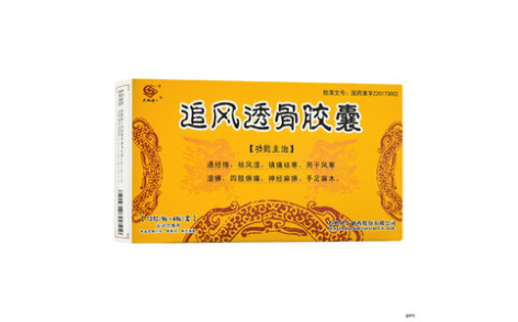 追风透骨胶囊(天地恒一)主图