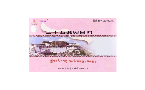 二十五味鬼臼丸(卓玛丹)主图