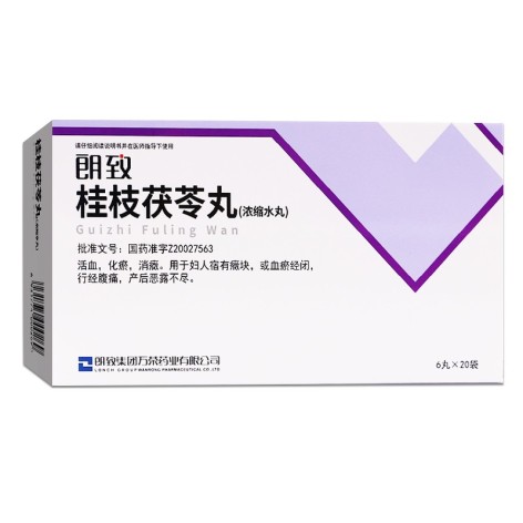桂枝茯苓丸(朗致)包装主图 桂枝茯苓丸(朗致)包装主图