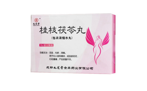 桂枝茯苓丸(九芝堂)主图 桂枝茯苓丸(九芝堂)主图