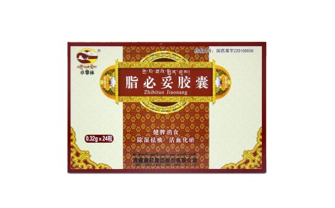 脂必妥胶囊(藏药)主图 脂必妥胶囊(藏药)主图