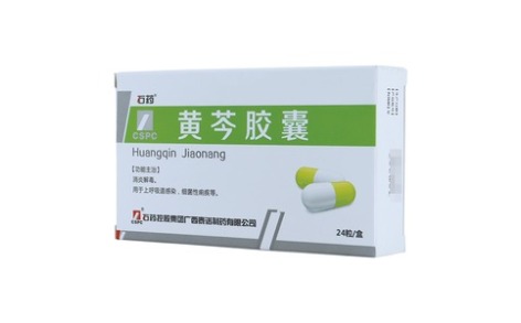 黄芩胶囊(石药)主图 黄芩胶囊(石药)主图