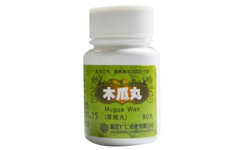 木瓜丸(广仁)主图 木瓜丸(广仁)主图