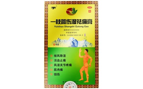 一枝蒿伤湿祛痛膏(卫洁)主图