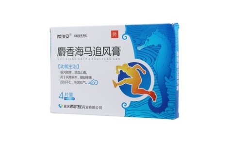 麝香海马追风膏()主图