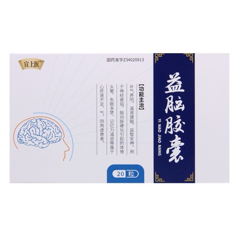 益脑胶囊(宣上医)包装主图