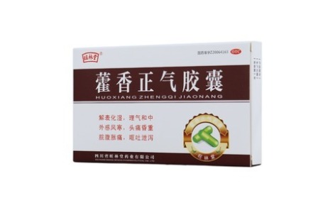 藿香正气胶囊(旺林堂)主图