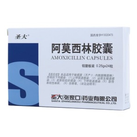 阿莫西林胶囊(圣大)包装主图 阿莫西林胶囊(圣大)包装主图