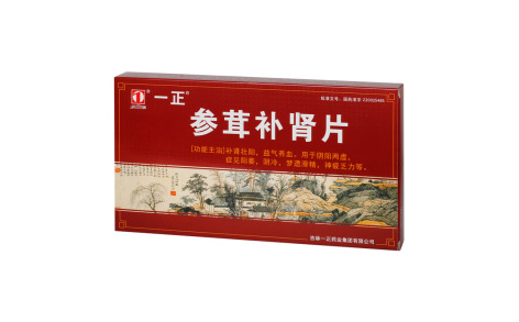 参茸补肾片(一正)主图 参茸补肾片(一正)主图