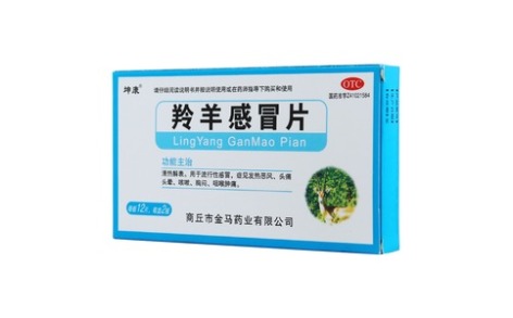 羚羊感冒片(坤康)主图