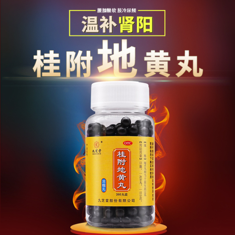 桂附地黄丸(九芝堂)包装侧面图2 桂附地黄丸(九芝堂)包装侧面图2